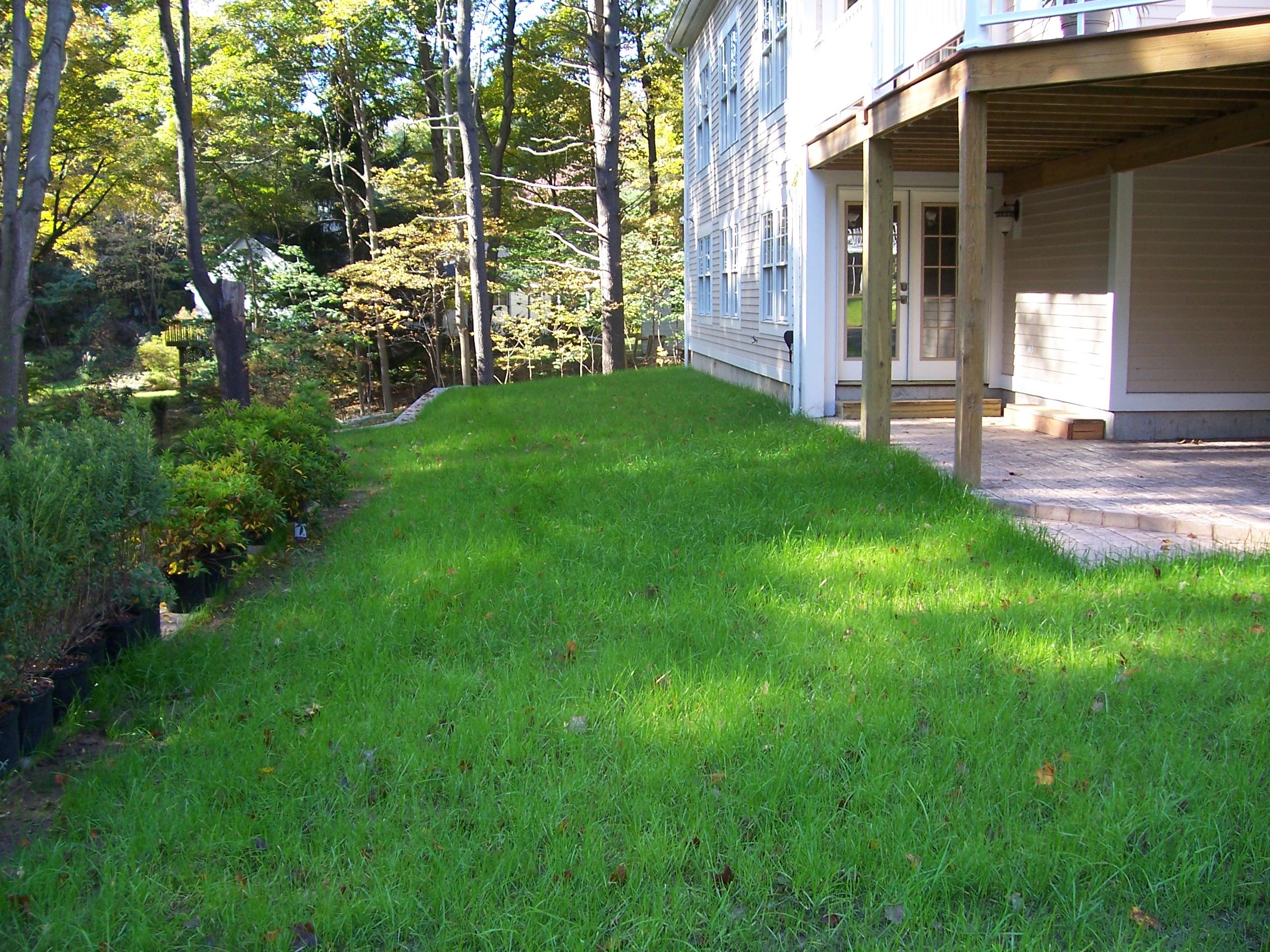 Lawn for New construction Country Landscaping, LLC